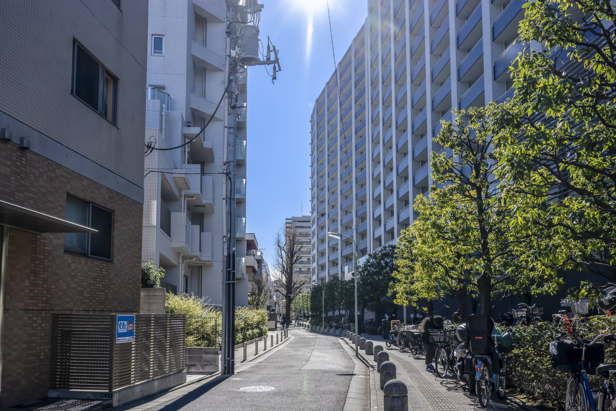 住宅街の歩道と街路樹