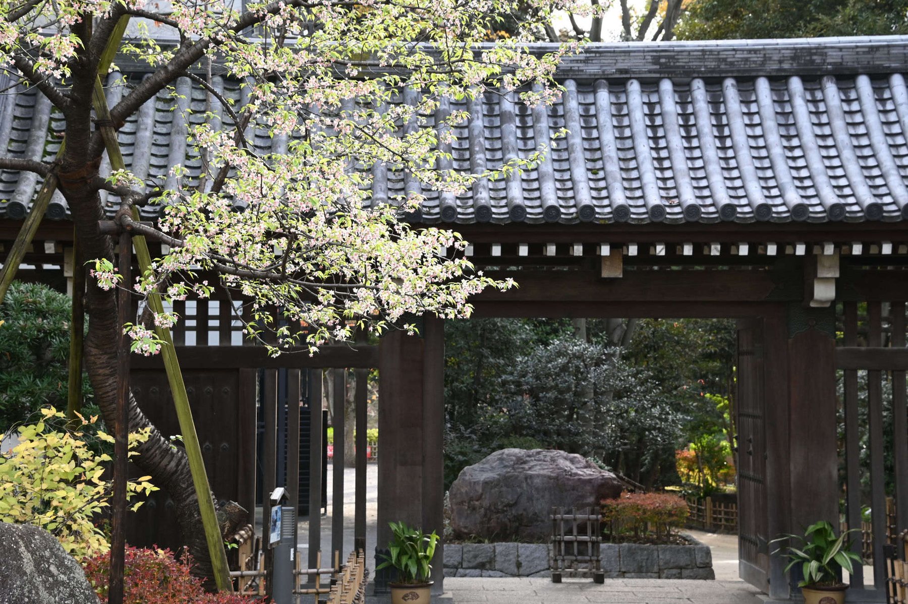 品川区・戸越公園